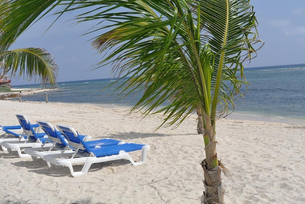 Castaways Cayman Beach Resort North Side Luaran gambar